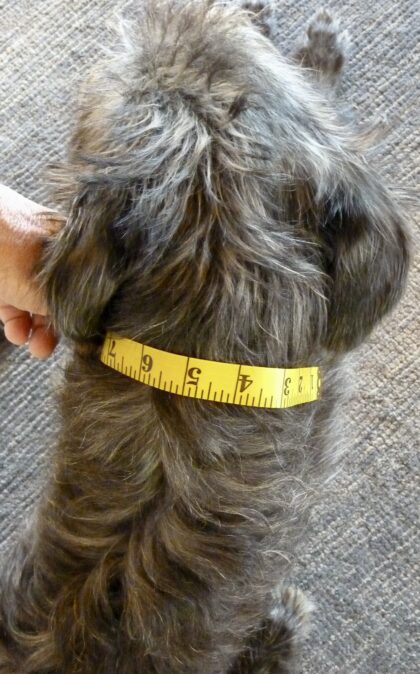 Tape Measure